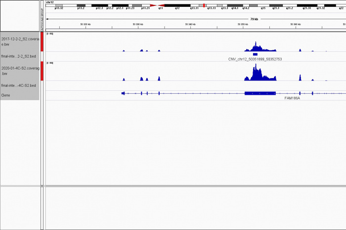 A unique bioinformatic algorithm for detecting small chromosomal rearrangements