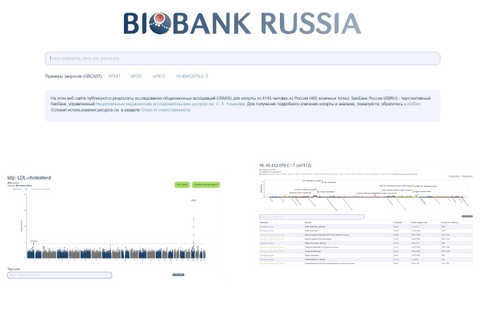 Создана референсная база геномных данных для российской популяции