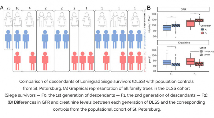 Transgenerational effect of early childhood famine exposure in the cohort of Leningrad siege survivors’ offspring  
